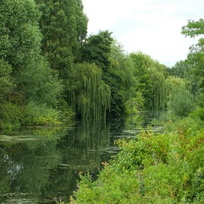 域网棋牌手机app下载