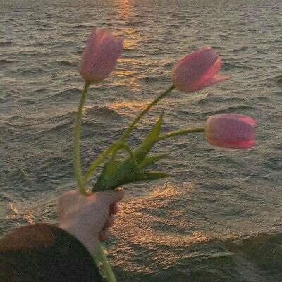 满堂彩下载手机版